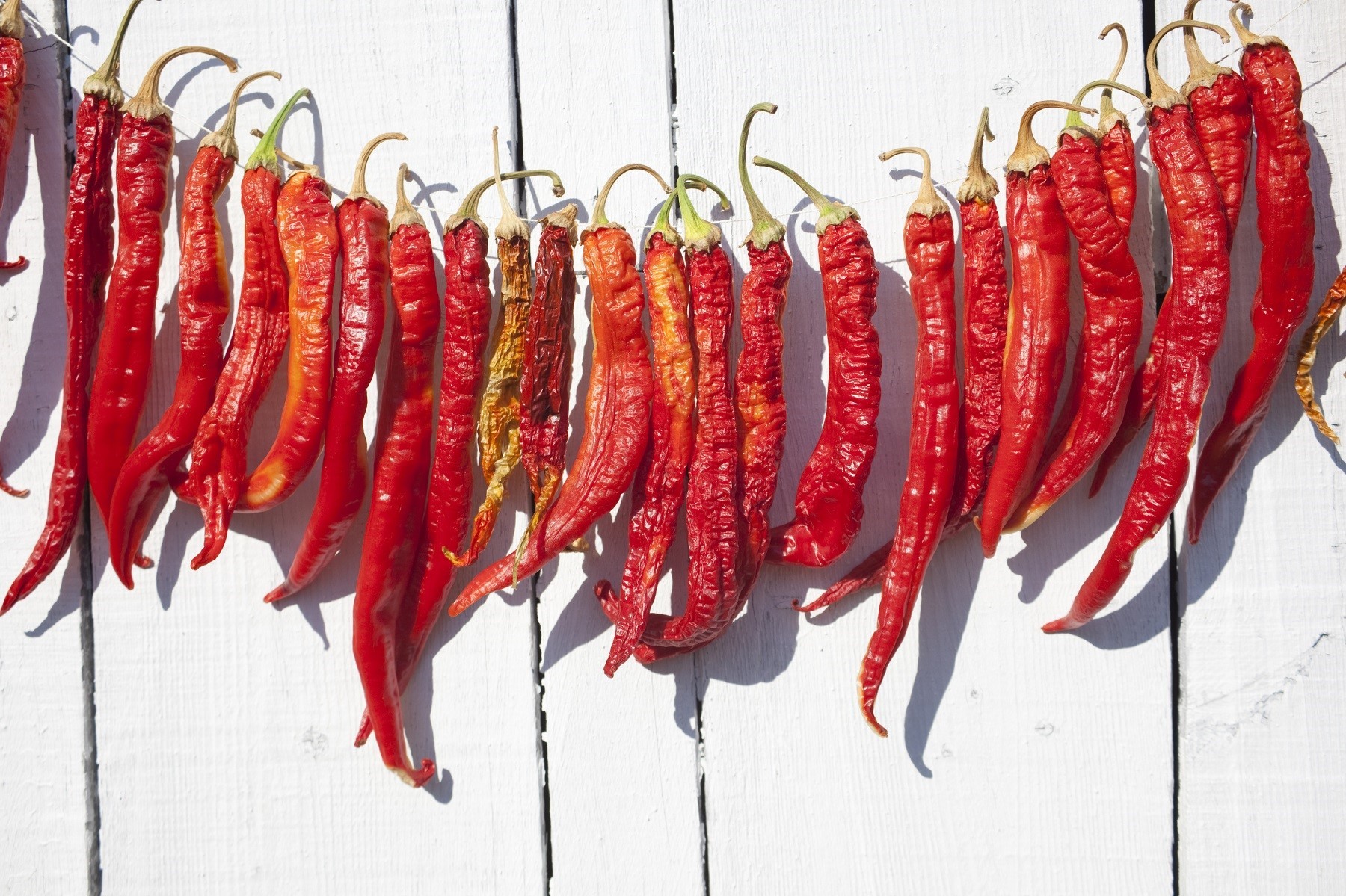 Tacos and Tequila Miami Beach